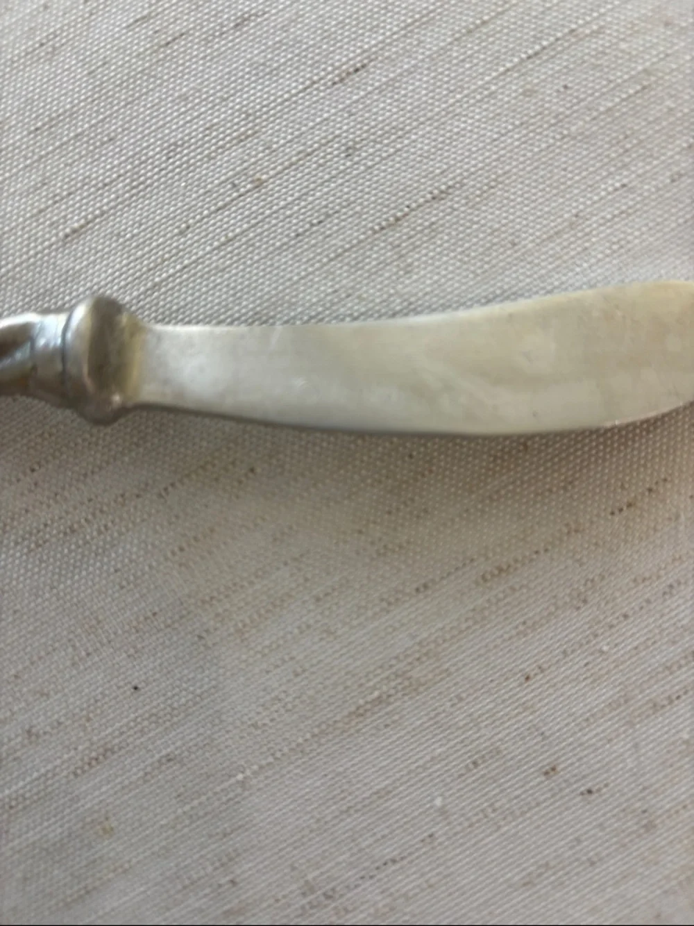 Set of 3 Mariposa Spreaders